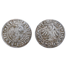 Polsko Žigmund I. Groš 1534 Elbing