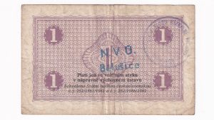 Ústavná poukážka Bělušice