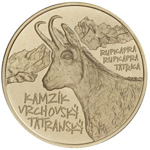 5 Euro 2022 Kamzík vrchovský tatranský