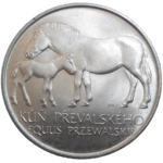 50 KČS 1987 Kôň Převalského
